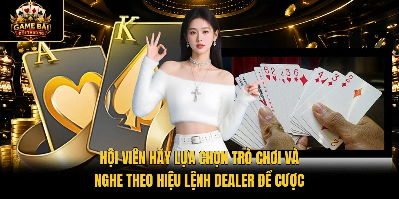 Hội viên hãy lựa chọn trò chơi và nghe theo hiệu lệnh Dealer để cược