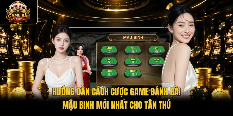 Hướng dẫn cách cược game đánh bài Mậu Binh mới nhất cho tân thủ
