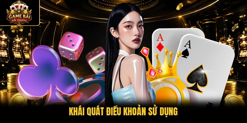 Khái quát điều khoản sử dụng