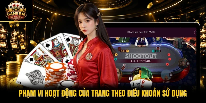 Phạm vi hoạt động của trang theo điều khoản sử dụng
