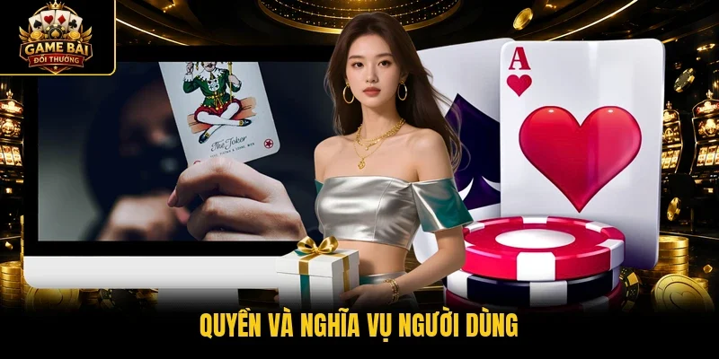 Quyền và nghĩa vụ người dùng