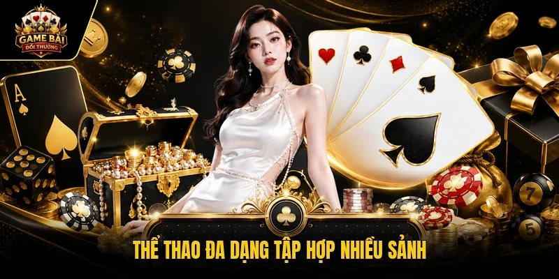 Thể thao đa dạng tập hợp nhiều sảnh