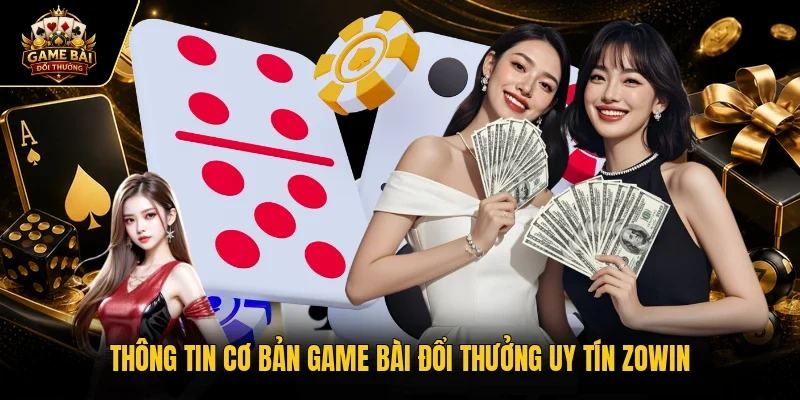 Thông tin cơ bản Zowin