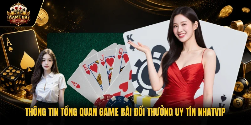 Thông tin tổng quan Nhatvip